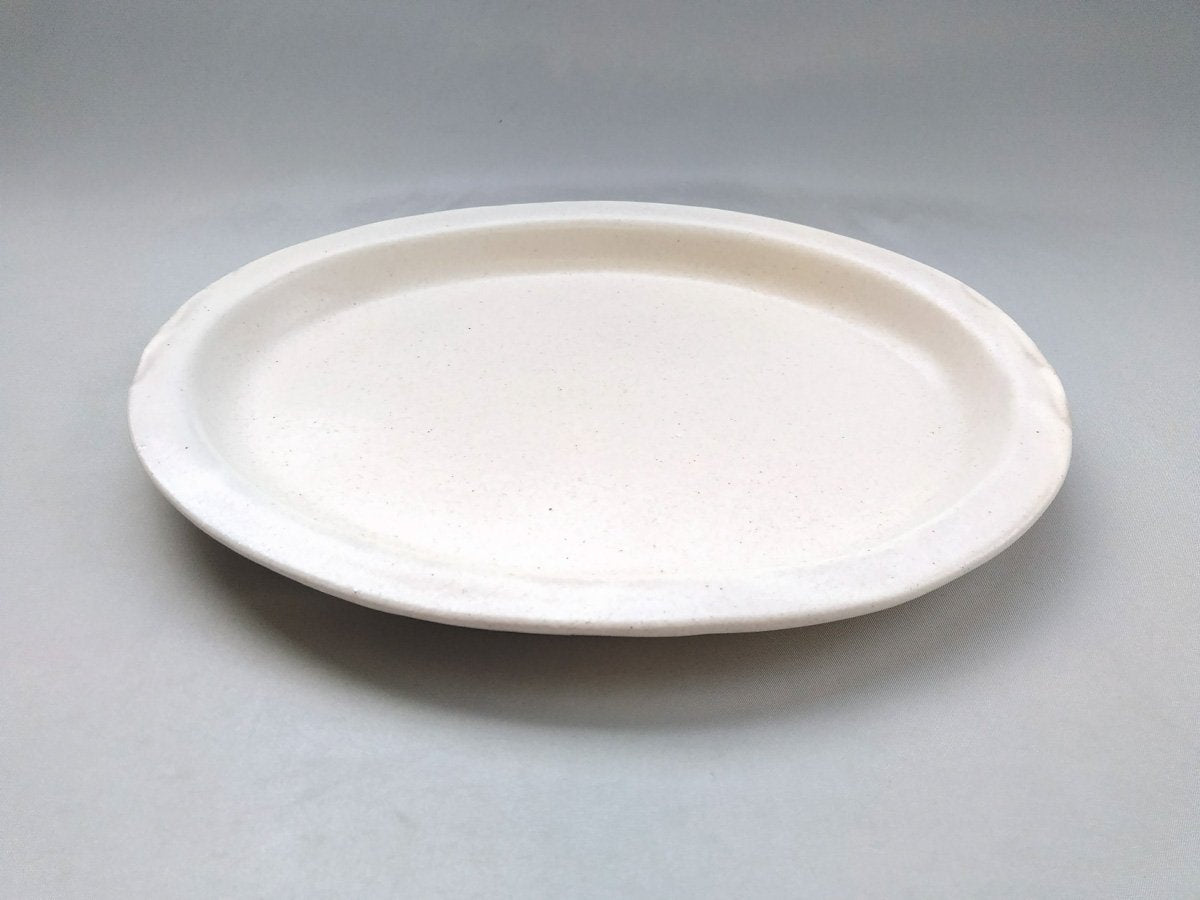 Color matte oval plate L white [Takuya Ohara]