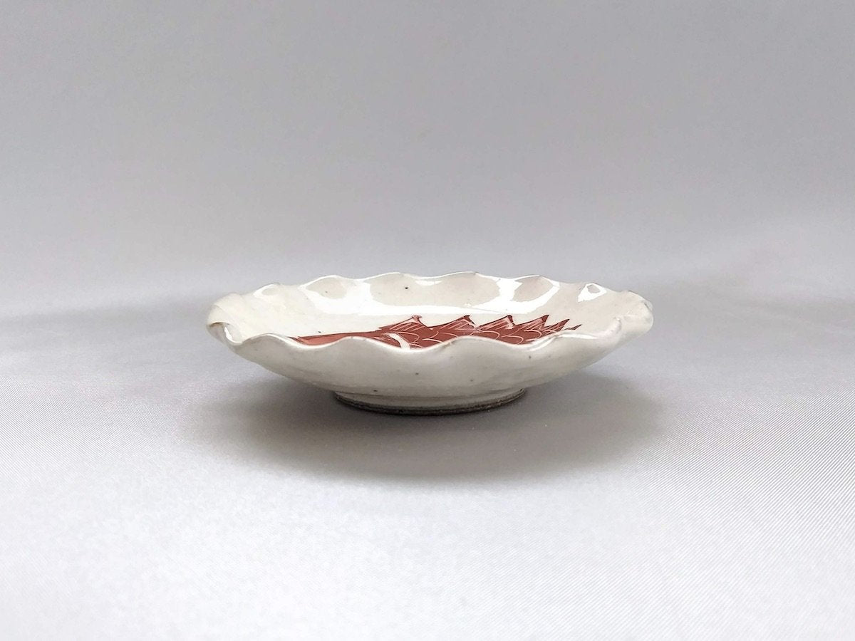 Medetaiwa flower bean plate [Porcelain Studio Raku]