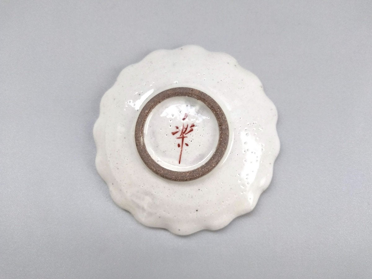 Medetaiwa flower bean plate [Porcelain Studio Raku]