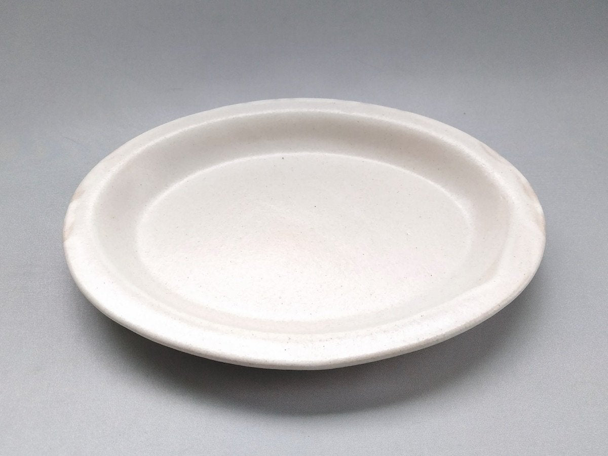 Color matte oval plate M white [Takuya Ohara]