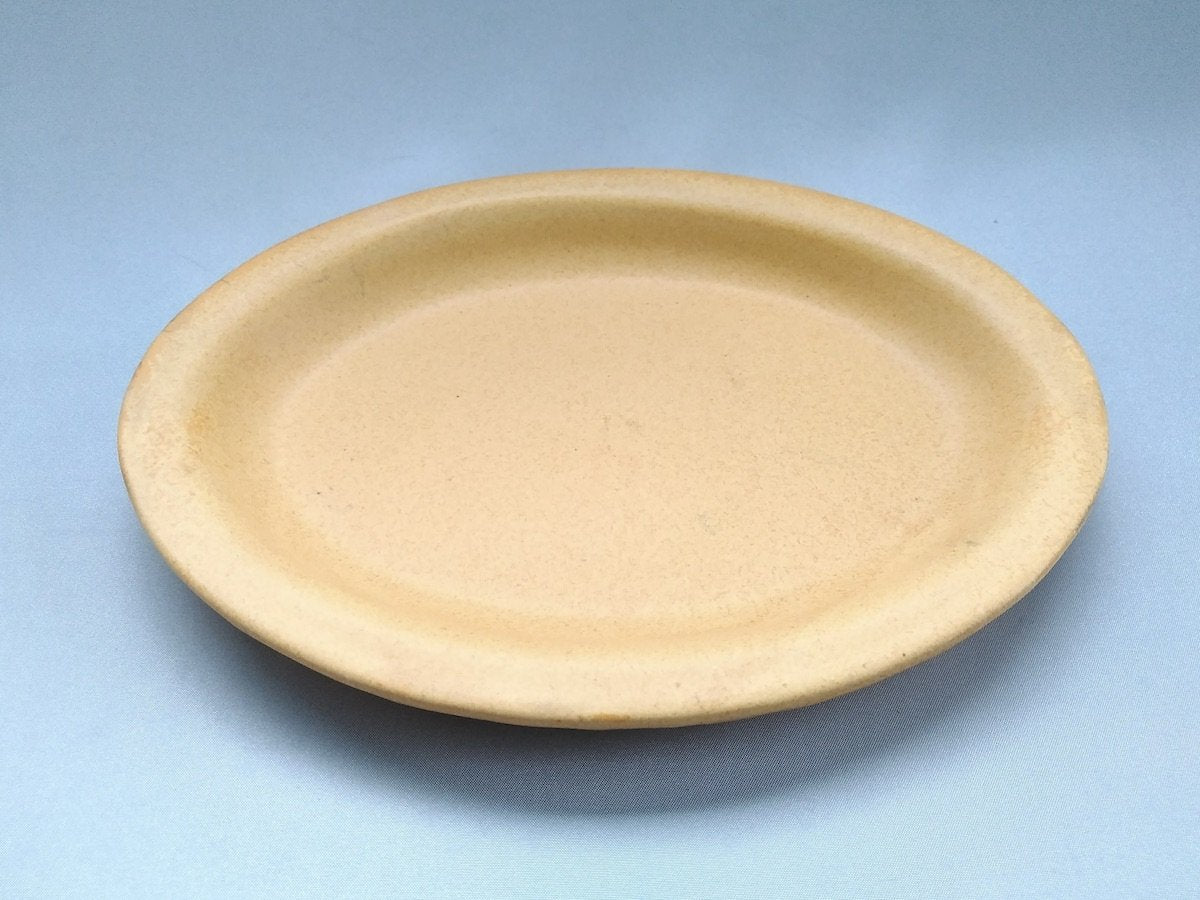 Color matte oval plate M yellow [Takuya Ohara]