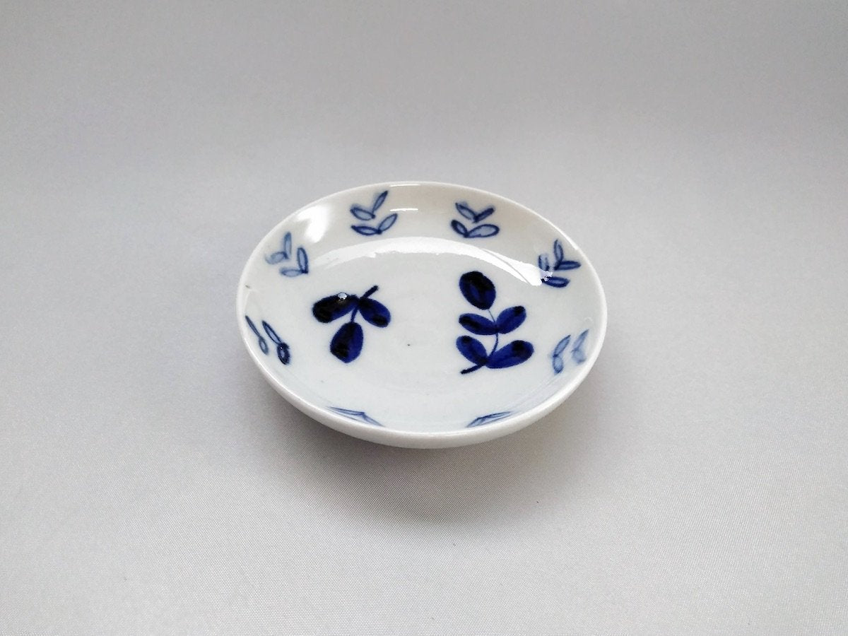 Konoha small plate [Takusei Kobayashi]