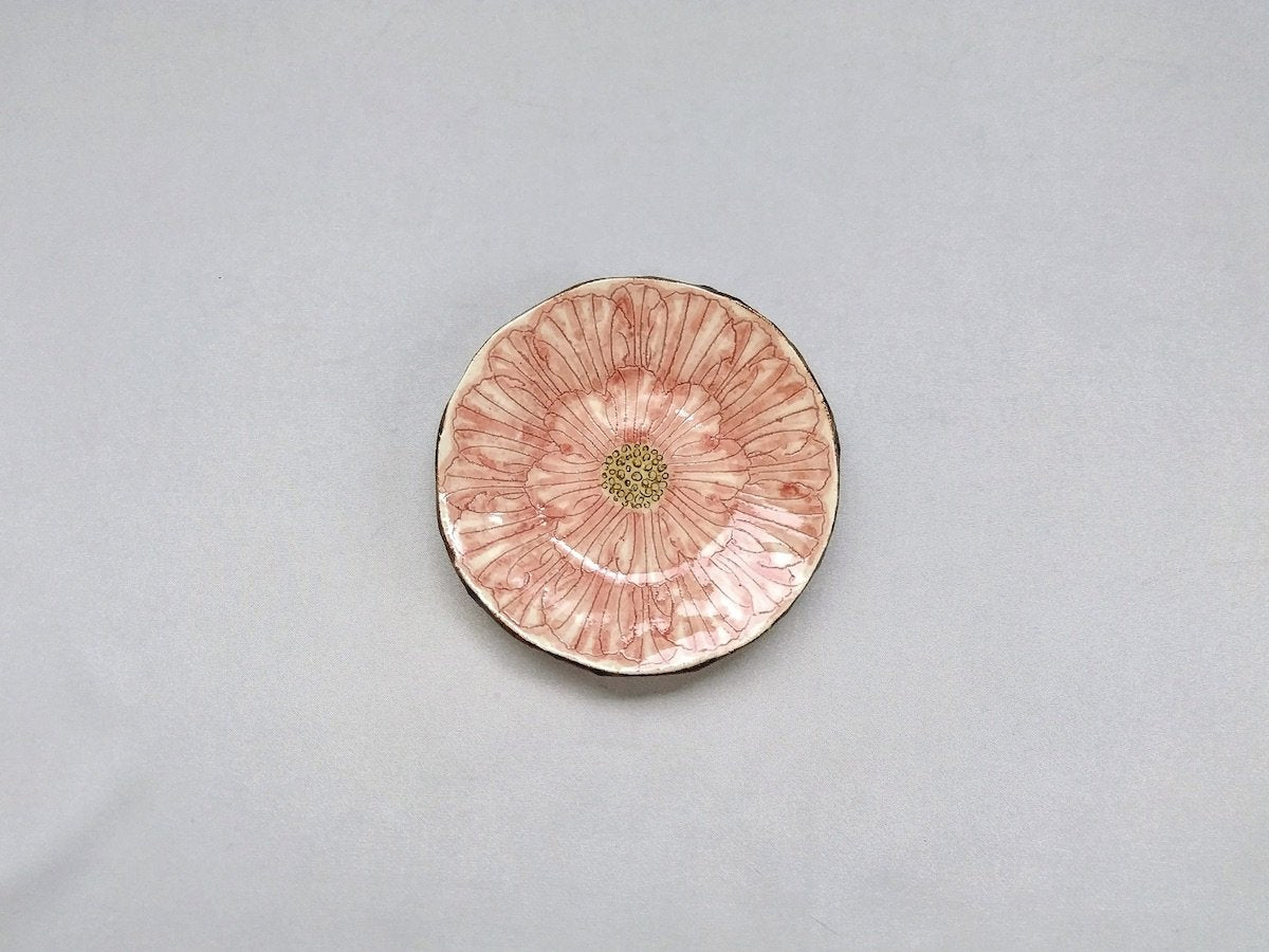 Peony flower 3-inch small plate red [Kato Kohei]