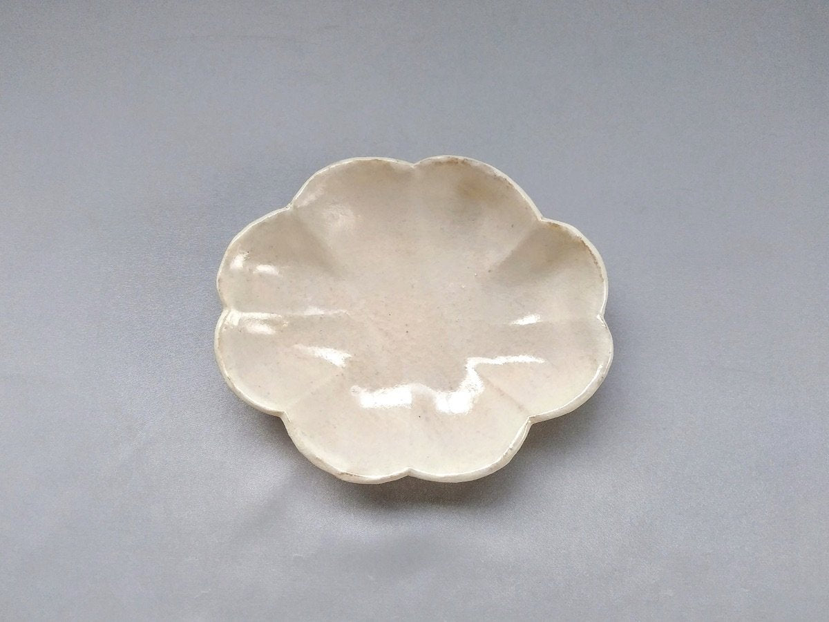 Powder ring flower oval small plate [Masaki Domoto]